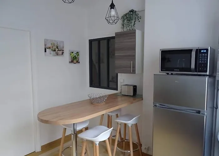 L\'Agapanthe 3 Etoiles Joli Appartement En Bord De Mer